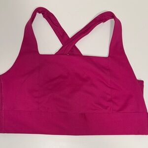 All in Motion Fuchsia Sports Bra